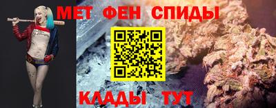 крисы Кулебаки