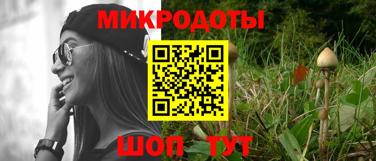 цены наркотик  Псилоцибиновые грибы Psilocybe  Вход с VPN  Воронеж  Галлюциногенные грибы мухоморы 
