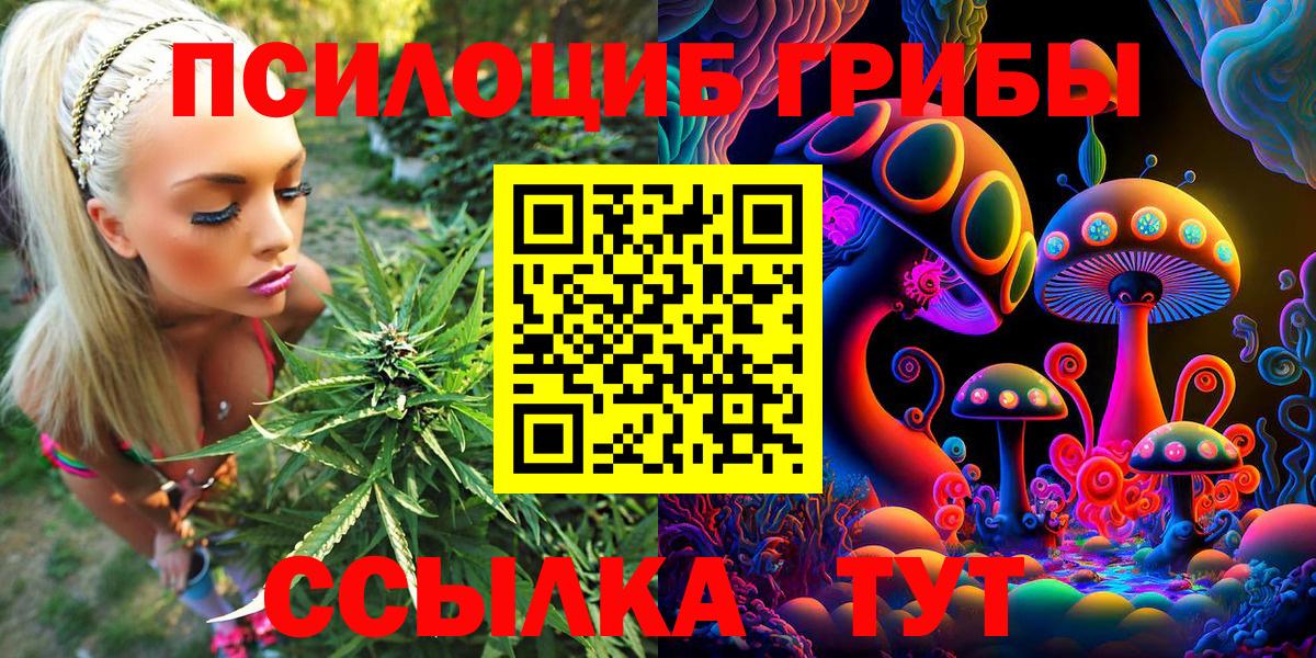 Псилоцибиновые грибы мухоморы Воронеж